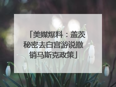 美媒爆料：盖茨秘密去白宫游说撤销马斯克政策