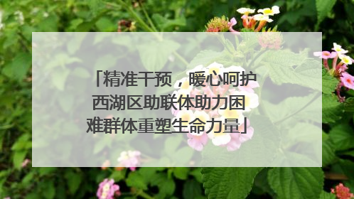 精准干预，暖心呵护 西湖区助联体助力困难群体重塑生命力量