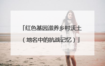 红色基因滋养乡村沃土（地名中的抗战记忆）