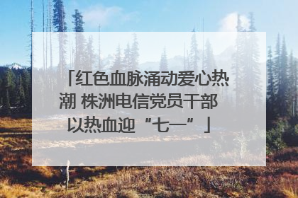 红色血脉涌动爱心热潮 株洲电信党员干部以热血迎“七一”