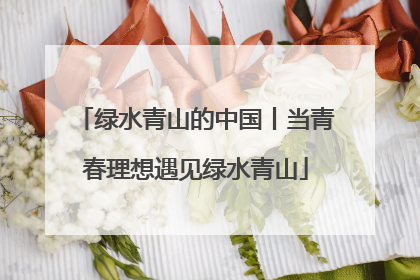 绿水青山的中国丨当青春理想遇见绿水青山