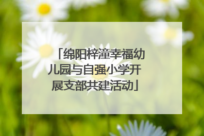 绵阳梓潼幸福幼儿园与自强小学开展支部共建活动
