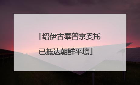 绍伊古奉普京委托已抵达朝鲜平壤