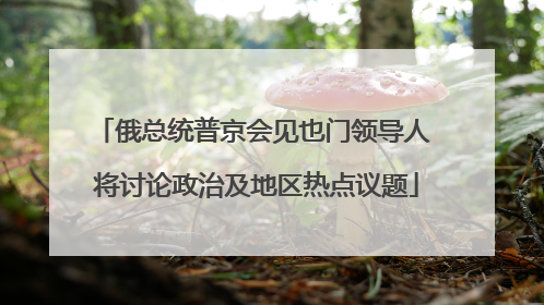 俄总统普京会见也门领导人 将讨论政治及地区热点议题