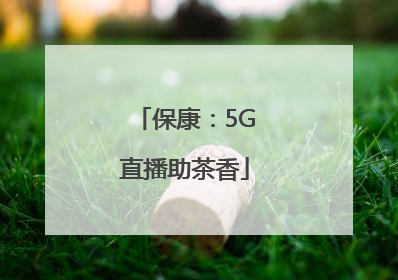 保康：5G直播助茶香