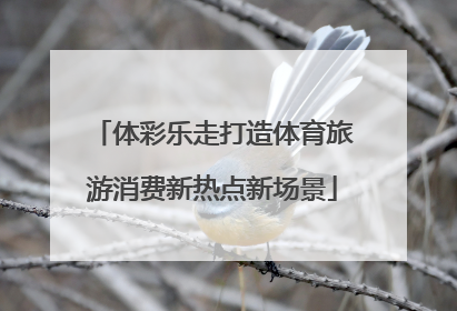 体彩乐走打造体育旅游消费新热点新场景