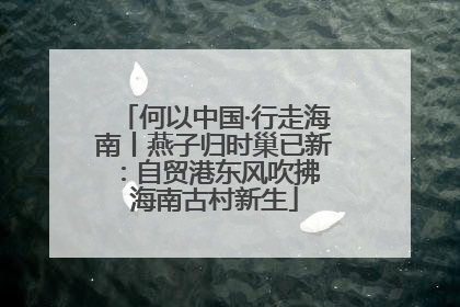 何以中国·行走海南丨燕子归时巢已新：自贸港东风吹拂 海南古村新生