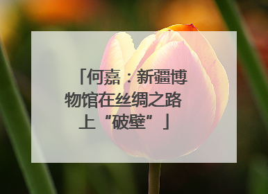 何嘉：新疆博物馆在丝绸之路上“破壁”
