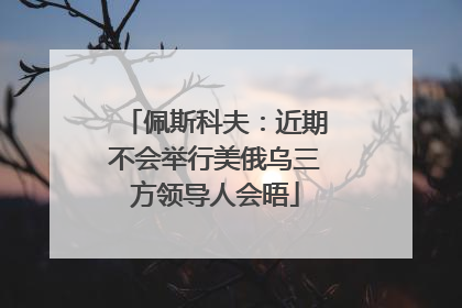佩斯科夫：近期不会举行美俄乌三方领导人会晤