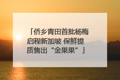 侨乡青田首批杨梅启程新加坡 保鲜提质售出“金果果”