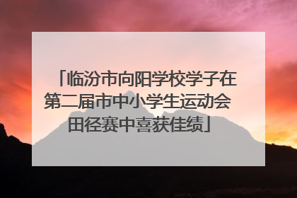 临汾市向阳学校学子在第二届市中小学生运动会田径赛中喜获佳绩