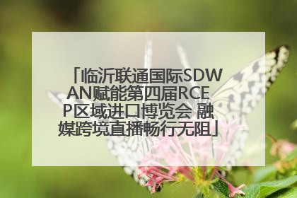 临沂联通国际SDWAN赋能第四届RCEP区域进口博览会 融媒跨境直播畅行无阻