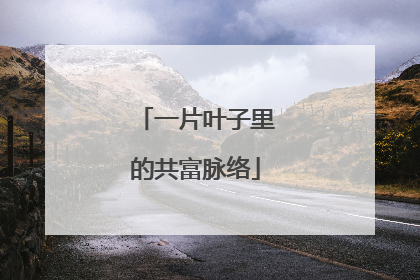 一片叶子里的共富脉络