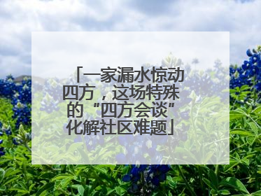 一家漏水惊动四方，这场特殊的“四方会谈”化解社区难题