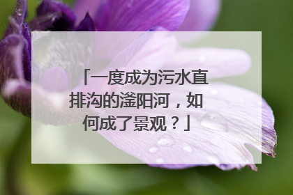 一度成为污水直排沟的滏阳河，如何成了景观？