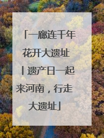 一廊连千年 花开大遗址丨遗产日一起来河南，行走大遗址
