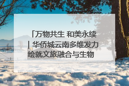 万物共生 和美永续｜华侨城云南多维发力 绘就文旅融合与生物多样性保护新图景