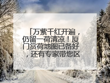 万紫千红开遍，仍留一荷清凉！厦门赏荷地图已备好，还有专家带您区分荷与莲→