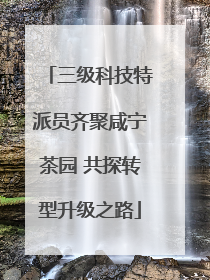 三级科技特派员齐聚咸宁茶园 共探转型升级之路