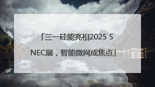 三一硅能亮相2025 SNEC展，智能微网成焦点