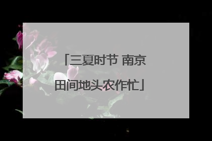 三夏时节 南京田间地头农作忙