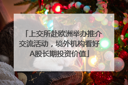 上交所赴欧洲举办推介交流活动，境外机构看好A股长期投资价值