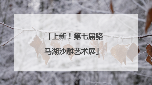 上新！第七届骆马湖沙雕艺术展