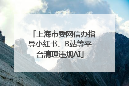 上海市委网信办指导小红书、B站等平台清理违规AI