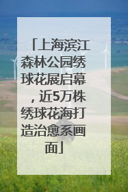 上海滨江森林公园绣球花展启幕，近5万株绣球花海打造治愈系画面