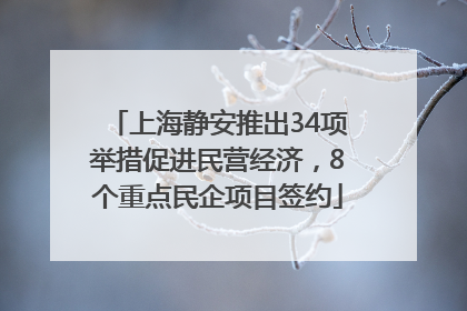 上海静安推出34项举措促进民营经济，8个重点民企项目签约