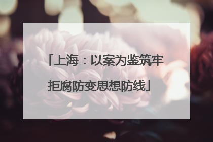 上海：以案为鉴筑牢拒腐防变思想防线