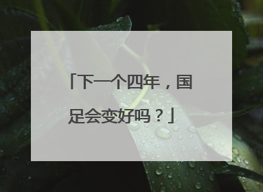 下一个四年，国足会变好吗？