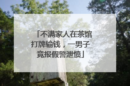 不满家人在茶馆打牌输钱，一男子竟报假警泄愤
