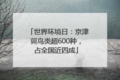 世界环境日：京津冀鸟类超600种，占全国近四成