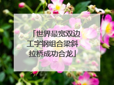 世界最宽双边工字钢组合梁斜拉桥成功合龙