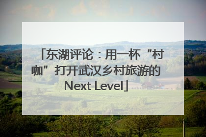 东湖评论：用一杯“村咖”打开武汉乡村旅游的Next Level