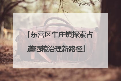 东营区牛庄镇探索占道晒粮治理新路径