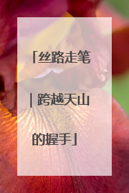 丝路走笔｜跨越天山的握手