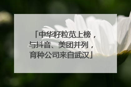 中华籽粒苋上榜，与抖音、美团并列，育种公司来自武汉