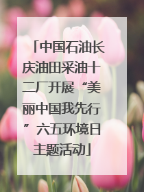 中国石油长庆油田采油十二厂开展“美丽中国我先行”六五环境日主题活动
