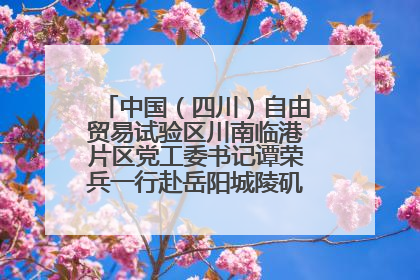 中国（四川）自由贸易试验区川南临港片区党工委书记谭荣兵一行赴岳阳城陵矶综保区考察
