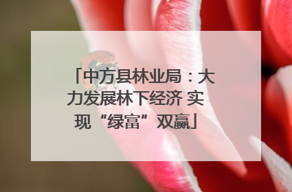 中方县林业局：大力发展林下经济 实现“绿富”双赢