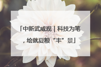中新武威观｜科技为笔，绘就夏粮“丰”景