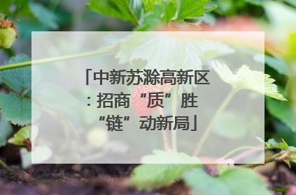 中新苏滁高新区：招商“质”胜 “链”动新局