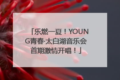 乐燃一夏！YOUNG青春·太白湖音乐会首期激情开唱！