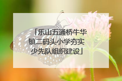 乐山五通桥牛华镇二码头小学夯实少先队组织建设