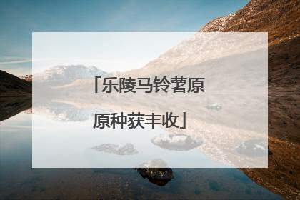 乐陵马铃薯原原种获丰收