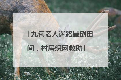九旬老人迷路晕倒田间，村居织网救助