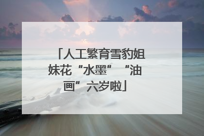 人工繁育雪豹姐妹花“水墨”“油画”六岁啦