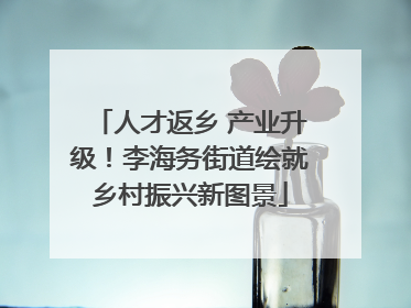 人才返乡 产业升级！李海务街道绘就乡村振兴新图景